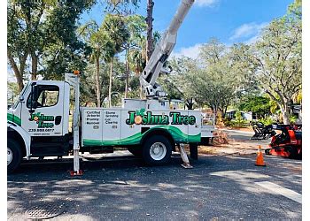 THE BEST 10 Tree Services in CAPE CORAL, FL .